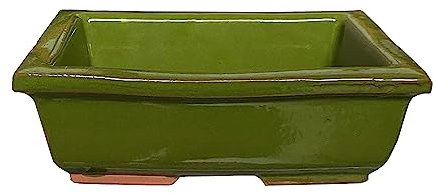 KORMAX Maceta Bonsai Ceramica Verde n2 22x15 cm