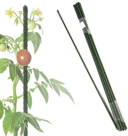 FLOORDIREKT Tomaten Rankhilfe klein Pflanzenstäbe 60cm für Kletterpflanzen, Gurken oder Blumen Pflanzenhalter Rankstab Stange Kletterhilfe aus Metall für Zimmerpflanzen 10 Stück, 11mm