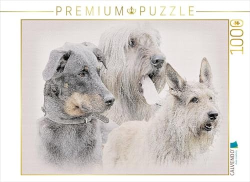 CALVENDO Puzzle EIN Motiv aus dem Kalender Französische Hirtenhunde 2017 | 1000 Teile Lege-Größe 64 x 48 cm Foto-Puzzle für glückliche Stunden