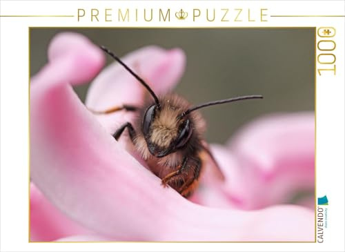 CALVENDO Puzzle EIN Motiv aus dem Kalender Insekten Kleine Wunder | 1000 Teile Lege-Größe 64 x 48 cm Foto-Puzzle für glückliche Stunden