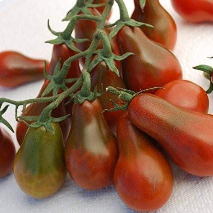 Tomate -Braunes Birnchen- 10 Samen ***Saftig und Süß*** -Neu-
