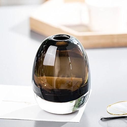 XIUWOUG Vase en Verre épais pour la Décoration Intérieure,Petit Vase en Verre Clair pour Décoration de Table (Vase Uniquement),Brown s