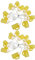 BSTCAR 2 Stück Bier String Lichter 6,5ft 10LED batteriebetriebene LED-Draht-String-Licht warmes Weiß Indoor-Outdoor-Urlaub Party