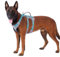 Huntboo Sicherheitsgeschirr Hund Ausbruchsicher, Panikgeschirr für Hunde, Reflektierendes Geschirr Hund mit Griff, Verstellbare Hundegeschirr für kleine, mittelgroße und große Hunde (Blaugrün,L)