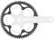 Campagnolo Unisex – Erwachsene Kettenblatt-07337868 Kettenblatt, Silber, 39 zähne