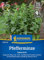Kiepenkerl Pfefferminzsamen Spearmint 1056730 - Kaugummi-, Minze-, Tee-, Duft- und Würzkraut - circa 40-60cm - Pflanzen Samen, Saatgut, Kräutersamen