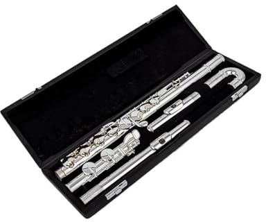 Schülerflöte Altflöte G 16 Geschlossenes Loch Versilbert Professionelles Instrument