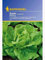 Salat Kopfsalat Maikönig