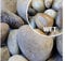 CED Scottish Beach Cobbles 75-50mm 25kg