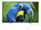 JHZDX 32-75 Zoll Monitor Anti Blend-Bildschirm, Blendschutz, Anti-Scratch, Blöcke 96% UV-Blauer Lichtschutz Für TCL/Samsung/Toshiba/Sony/LG/Hisense-Mattglanz,55 1211 * 682