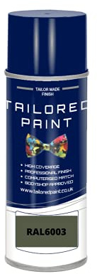 RAL 6003 - Vernice aerosol lucida verde oliva 2K per legno, metallo, plastica, PVC, UPVC, fasce - interni ed esterni