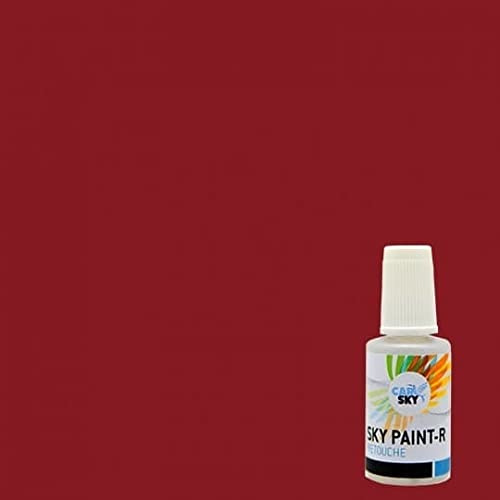 CARSKY Stylo retouche peinture carrosserie compatible avec RAL Rouge Rubis 3003 (flacon pinceau 20ml) + vernis brillant (flacon pinceau 20ml)