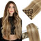 Elailite Echthaar Extensions Clip in #18P613 Aschblond mix Hellblond, 5 Tressen Remy Haarverlängerung mit 12 Clips, 40cm 60g Glattes Haarteile Haarextension
