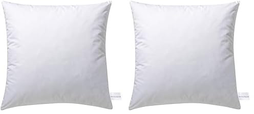Billerbeck Kopfkissen Kuschelkissen D/F - Kissen in 40 x 40 cm – weiches Kuschelkissen – 50% Daunen, 50% Federn – mit Tragetasche (Packung mit 2)