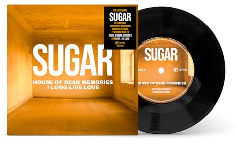 House of Dead Memories / Long Live Love (7inch)