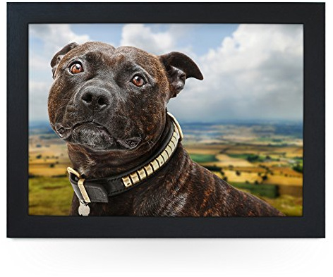 Portable Lap Desk Tray (Staffordshire Bull Terrier) Handmade Wooden Frame, Beanbag Cushioned Bottom | Computers, Laptops, Meals, Food | L0112 Black