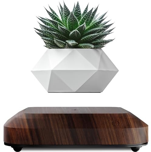 LEVINA Authentique Pot de Plantes Flottant en Lévitation pour Plantes d'air - Jardinière Rotative Magnétique pour Bonsaïs -Pot de Plantes en Lévitation