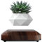 LEVINA Authentique Pot de Plantes Flottant en Lévitation pour Plantes d'air - Jardinière Rotative Magnétique pour Bonsaïs -Pot de Plantes en Lévitation