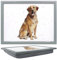 Tamersgifts Cushioned Laptrays Lap Tray TV Dinner Bean Bag Padded Cushion Gift (Golden Labrador Laptray)