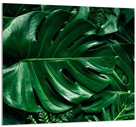 DarHaus Herdabdeckplatte 65x60 cm 1-teilig Ceranfeldabdeckung Induktion Herdschutz Küchenrückwand Spritzschutz Glasplatte Deko Schneidebrett, Monstera Grün