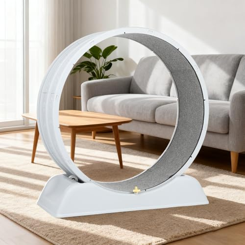 80 * 80cm Zoll Katzenräder für Indoor-Katzen, Plastik Katze Übung Laufband Rad mit Teppich Startbahn für Kätzchen tägliche Übung und Gewichtsverlust (Grey-Grey Carpet)
