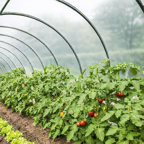 TECPLAST Bâche Serre 1,5x3 m 150SE - Film Plastique Transparent pour Serre de Jardin - Haute Qualité - Made in France
