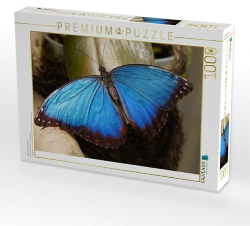 CALVENDO Puzzle Blauer Morphofalter | 1000 Teile Lege-Größe 64 x 48 cm Foto-Puzzle für glückliche Stunden