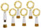 NeoJoy Rechargeable Wine Bottle Lights, LED Cork Lights USB Fairy String Lights for Parties Decoration, Colorful Set of 6