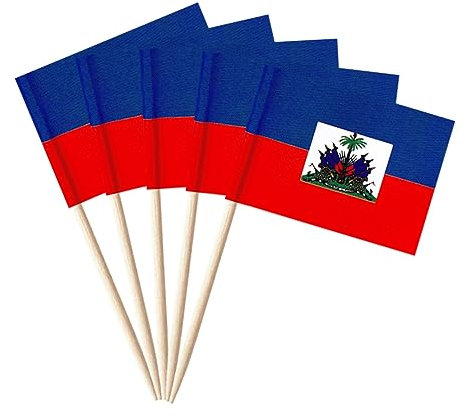 stidsds 100pcs National Stuzzicadenti Bandiera B (Haiti)
