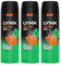 Lynx XL Body Spray Jungle Fresh 48H High Definition Fragrance with Sweat Protection Deodorant Spray for Men with Unique Scent of Palm Leaves and Amber, 200ml Pack of 3