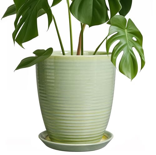EPFamily Ceramic Pots for Plants - Modern Round 8 Inch Planter with Drainage Hole and Plant Saucer for Flower Indoor Outdoor, Home Decor, House Warming Gifts, Green