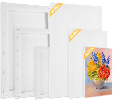 Lot De 6 Toile A Peindre, Toile A Peindre Encadrées 30x20 20x15 15x10 CM, 100% Coton, Sans Acide, Chassis pour Toile de Bois Tendue, Parfaites pour Aquarelle Acrylique, Artistes Et Débutants