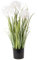 Hollyone 70CM Artificial Plant White Dandelion Grass, Plastic Plants Grass Tall Fake Plant, Large Decorative Faux Plants for Indoor Outdoor Home, Living Room, Kitchen, Office Decoration