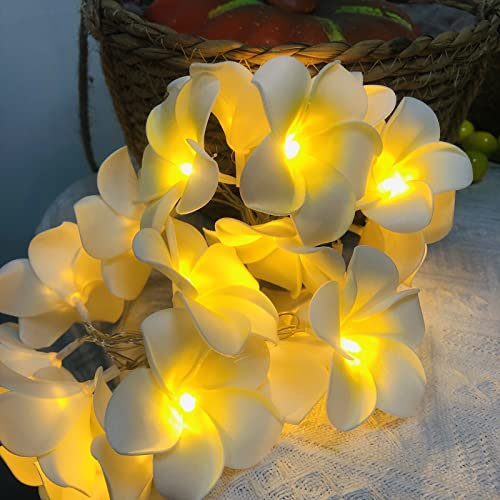 Riaxuebiy Künstliche Plumeria Blume Lichterketten,3 M 20 LED Warmweiß USB Betrieben, Dekorative Frangipani Lichterketten für Geburtstag Party Hochzeit Festival (USB Betrieben, Weiß)