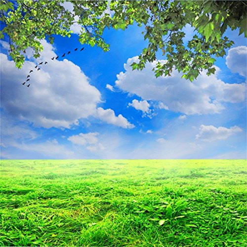 YongFoto 1,5x1,5m Foto Hintergrund Frühling Landschaft Grünes Gras Wilde Gans Blauer Himmel Weisse Wolke Wiese AST Sommer Natur Fotografie Hintergrund Fotoshooting Portrait Party Kinder Fotostudio