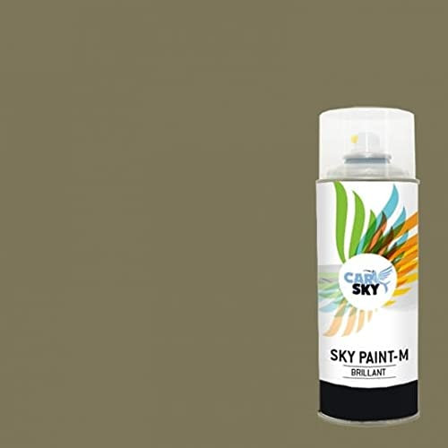 CARSKY Bombe de peinture RAL Vert Jonc 6013 finition brillante 400ml