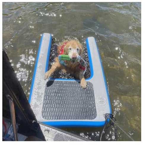 rampa gonfiabile per cani 150 Cm Cane Piscina Rampa Fuori Terra Piscina, Gonfiabile Galleggiante Grande Cane Acqua Rampa Scala Per Piscine/ Laghi/ Oceani, Cane Piccola Barca Rampa, Nero Blu Verde Ross