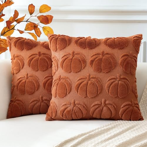 Artscope 2er Set Wolle Kürbis Kissenbezüge Weicher Plüsch Kurzer Wollsamt Dekokissenbezüge Herbst Kissenhülle Sofakissen Herbstdeko für Sofa Schlafzimmer Halloween Karamell Orange, 40x40cm