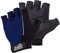 Schiek Sports Cross Training und Fitness Handschuhe