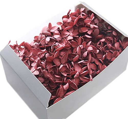 JWShang Konservierte Hortensien, konservierte Blume, exquisite gehobene unsterbliche Blumen, Heimdekoration, DIY, Geschenk für Muttertag, Liebhaber, Geburtstag, Valentinstag Geschenke