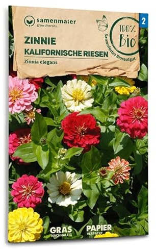 BIO Zinnie Kalifornische Riesen Samen - Einjährige Mischung, Höhe 70-80 cm, für sonnige Standorte - Aussaat Februar bis Juni - Inhalt reicht für ca. 30 Pflanzen - Samen Maier