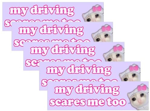 My Driving Scares Me Too Auto-Aufkleber, lustiges Schild für Fahranfänger, Warnschilder, Selbstlerner, Fahrer, Aufkleber, Auto für Damen, Motorrad, Stoßstange, Gepäck, Gitarre, Auto, Laptop, Schilder,