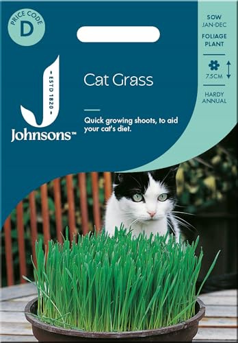 Cat Grass Seeds 25g For A Healthy Happy Cat - Grow All Year Round Indoors