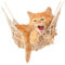 GRAZDesign Wandtattoo Baby Katze, Babykatzen auf Hängematte, Kinderzimmer Wandaufkleber / 30x30cm