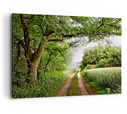 ARTTOR Bilder auf Leinwand 100x70cm Leinwandbild Pfad Natur Wald Grün Groß Wanddeko Bild Schlafzimmer Küche Deko Wandbilder Dekoration Wohnzimmer Wall Decor Canvas Wand Kunstdruck Art AA100x70-2637