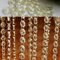 10x 1M Türvorhang Kristall Perlen Girlande Acryl Perlenband Fadenvorhang Perlenvorhang Hängende Partei Dekor Ornament Anhänger für DIY Hochzeit Dekor Vorhang Lampe Garten Party Weihnachten,Champagner