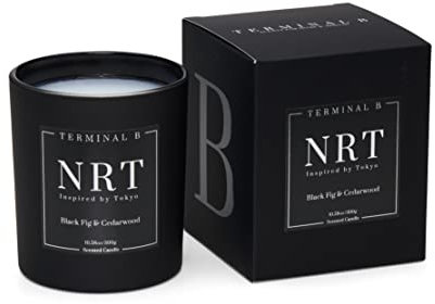 TERMINAL B Luxuriöse Duftkerze, NRT – Tokio: schwarze Feige & Zedernholz, Reise-inspiriert, 299 g, 60 Stunden Brenndauer, hergestellt in Los Angeles