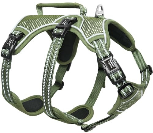 HEELE Hundegeschirr, Ausbruchsicher, Schnalle im Halsbereich, Reflektierend, Brustgeschirr mit Robuster Griff, Panikgeschirr Hund, Hundegeschirr Stabilen Eindruck, Passt wie Angegossen, Grün, XL
