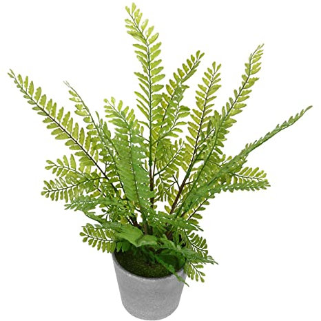 TOPBATHY 1stk Simulation Farn Bonsai Künstlicher Mini-Bonsai Kawaii Zimmer Gefälschtes Graues Grün Im Topf Grüne Pflanze Simulation Vergossen Anlage Künstliche Blumen Haushalt Plastik