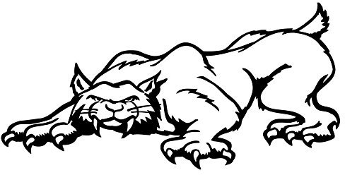 Wandtattoo Logo Puma selbstklebend – mehrere Farben erhältlich – 20 x 10 schwarz